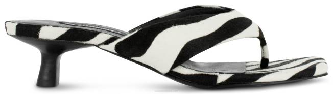 pete tash ii zebra Senso 2R4P159