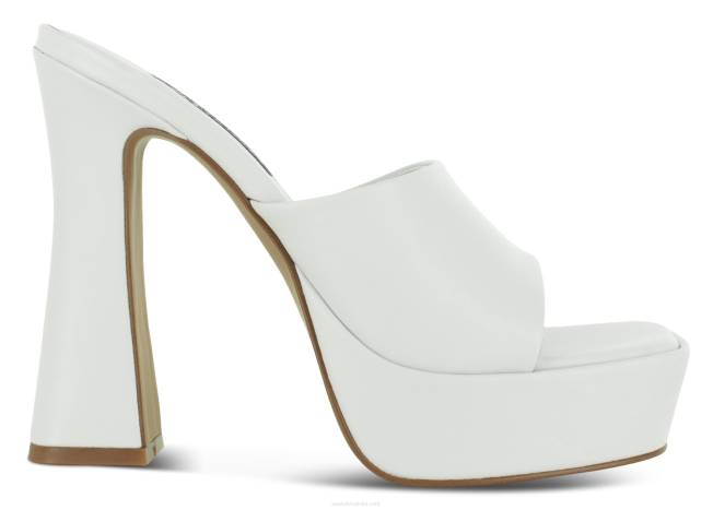 pete tillee marcipan Senso 2R4P348